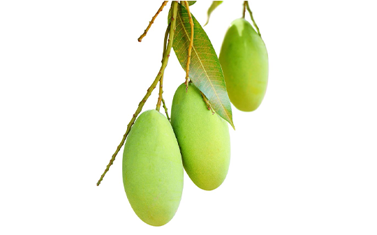 Meningkatkan Produksi Pohon Buah untuk Meningkatkan Ketahanan Pangan, Gizi, dan Lingkungan di Rwanda Meningkatkan Produksi Pohon Buah untuk Meningkatkan Ketahanan Pangan, Gizi, dan Lingkungan di Rwanda